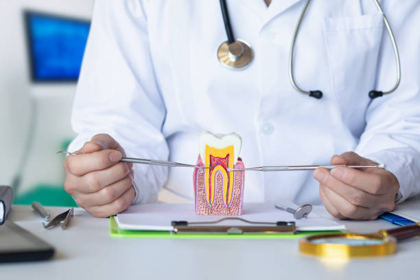 Best Emergency Dental Extractions in Evanston, WY